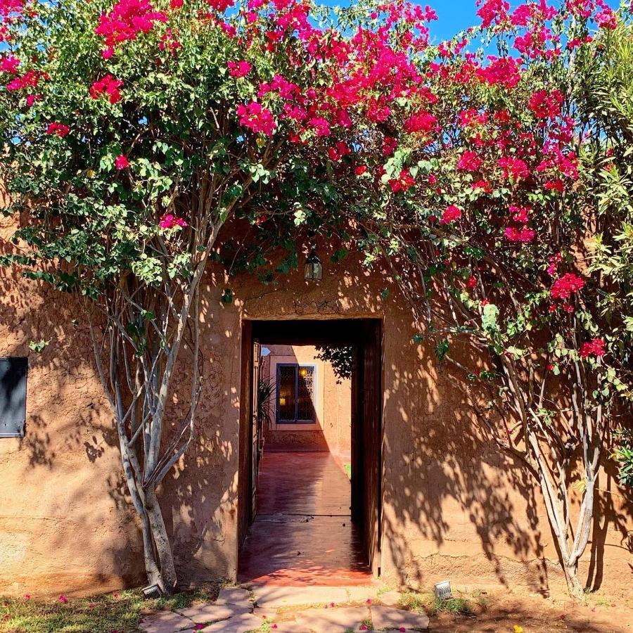 La Ferme Berbere Adult Only Bed & Breakfast El Harkat ภายนอก รูปภาพ