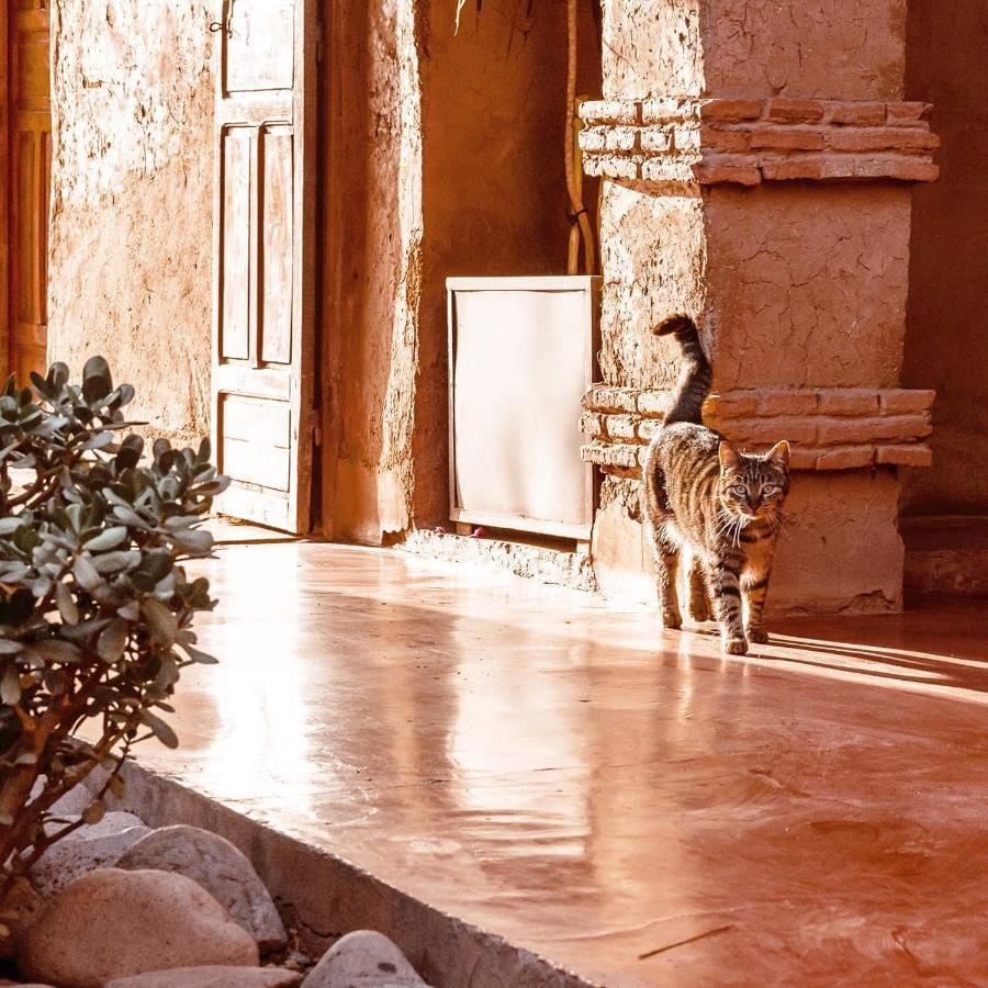 La Ferme Berbere Adult Only Bed & Breakfast El Harkat ภายนอก รูปภาพ