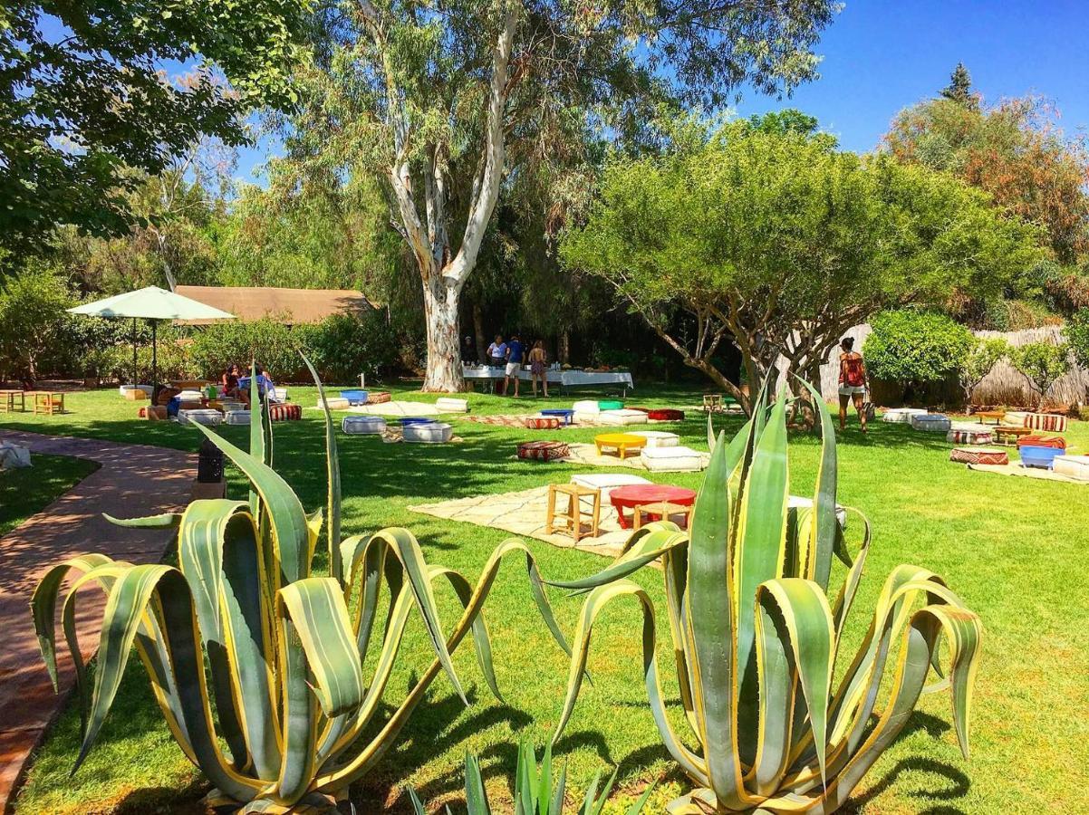La Ferme Berbere Adult Only Bed & Breakfast El Harkat ภายนอก รูปภาพ
