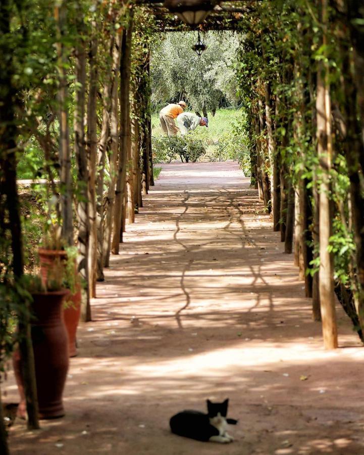 La Ferme Berbere Adult Only Bed & Breakfast El Harkat ภายนอก รูปภาพ
